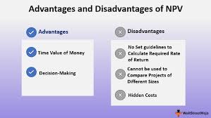 Advantages And Disadvantages Of Npv Net Present Value
