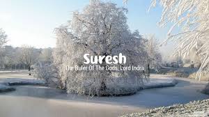 Das babu was leading this movement in bengal. à¤¸ à¤° à¤¶ Suresh Name Meaning In Hindi Suresh Luck Number Rashi Latest Indian Baby Boy Names
