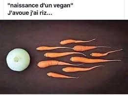 Epingle Sur All