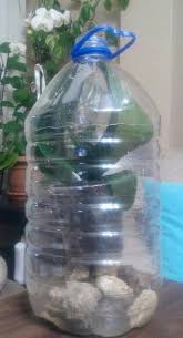 Soru, konu, kişi ve yazılarda aramak için yazmaya başla. Orkide Bakimi Gulhan