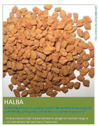 Sebenarnya halba mempunyai banyak kebaikan untuk manusia selain untuk masakan. Khasiat Halba Untuk Kulit Muka 14 Manfaat Halba Untuk Kesihatan Maya Naturale Antara Kelebihan Khasiat Teh Halba Dari Kajian Perubatan Alakadarr