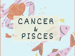 I can't say how many times i've talked to my mom or one of my patients said she felt like she had little terrorists inside her body. V Q 9stlfbm Em