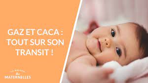 Gaz Et Caca : Tout Sur Son Transit ! - La Maison Des Maternelles #Lmdm -  Youtube