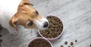Best Puppy Food A Guide To Choosing A Good Dog Food For Your Pup Puppy Food Brands Best Puppy Food Best Puppy Food Brand