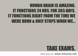 Funny Quotes Brain via Relatably.com