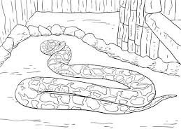 Burmese Python Coloring Page Free Printable Coloring Pages Coloring Pages Free Printable Coloring Pages Free Printable Coloring