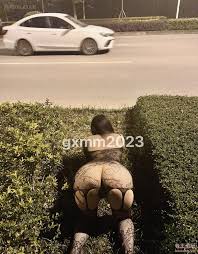 极品良家人妻网红户外露出,紫薇喷水,勾引保洁大爷[126P+95V-1.65g] | 精选Porn