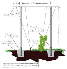 Trellis Construction Hops Trellis Hops Plant Beer Hops