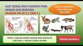 Lpse kabupaten indramayu 13.15% 4,180%. Cara Edit Target Skp Dan Isi Aktivitas Di Kerjaku Kerjakuindramayu Targetskp Aktivitas Youtube