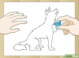 We did not find results for: How To Draw A Realistic Wolf With Pictures Wikihow