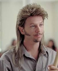 As he painstakingly tried to train an upwards twirl, he declared in the caption: 25 Hairstyles Of The Last 100 Years Listverse Funny Movies Joe Dirt Joe Dirt Quotes