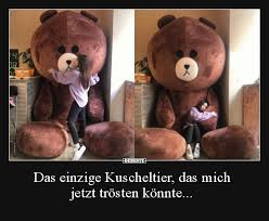 Das Einzige Kuscheltier Das Mich Jetzt Trosten Konnte Lustige Bilder Spruche Witze Echt Lustig