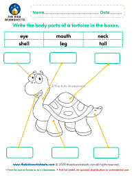 Body worksheets | all kids network. Body Parts Of A Tortoise Worksheet The Kids Worksheets