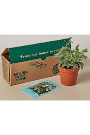 We've recently pet toys to our build your own box care package option that has over 100 different items to choose from. 40 Best Gifts For Plant Lovers Cute Plant Gift Ideas 2020