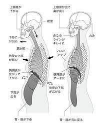 面長 しゃくれを自力で改善 1分小顔矯正術 内臓下垂を正すと顔が変わる ケンカツ body health health fitness beauty health