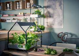 Growing a vertical garden and ideas to get you started. Indoor Garden Design Ideas Types Of Indoor Gardens And Plant Tips