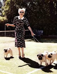 Throw A Couple Cats On Leashes In There And I M Set Petit Felin Carlin Chien