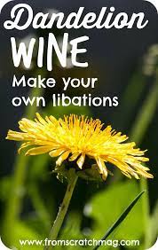 Dandelionwine Png 810 1280 Dandelion Wine Wine Recipes Dandelion