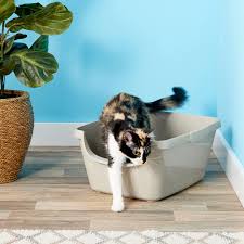 Tabbynapper cat window perch best cat window box: 9 Best Litter Boxes For Cats 2019 The Strategist New York Magazine