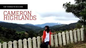 527 likes · 1 talking about this · 5 were here. One Day Trip To Cameron Highlands In Malaysia My Own Way To Travel