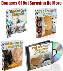 Cat soiling or spraying indoors? Cat Spraying No More Free Download Pdf à¸«à¸™ à¸²à¸«à¸¥ à¸ Facebook
