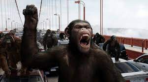 I too, was a bit skeptical at first, wondering how the apes would defeat an entire police force. Rise Of The Planet Of The Apes Stars James Franco Review The New York Times
