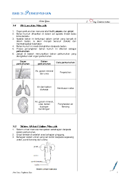Kidney kidneys is the main excretory organs concerned with excretion in humans body. Pdf Sains Perkumuhan Nota Ringkas Sabrina Tang Academia Edu