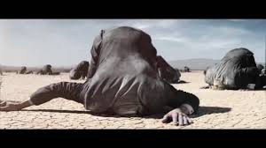 Image result for stock market head in sand
