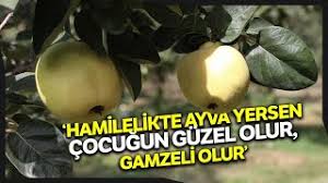 Folik asit dna sentezinde (bu bizim yapıtaşımızdır yani insanı insan yapan tek maddedir) ve sinir sistemi ile omurilik sıvısı üzerinde etkilidir. Bebegin Gamzeli Olmasi Icin Ne Yapmali Video Klip Mp4 Mp3