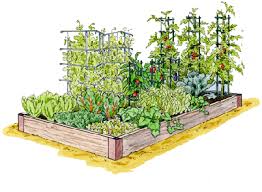Design Your Own Garden Beds By Clicking And Dragging The Plants You Want Where You Want Them Then You Can Print Your P Garden Planning Plants Garden Supplies