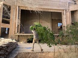 Arizona developer plans to restore Douglas' architectural gems