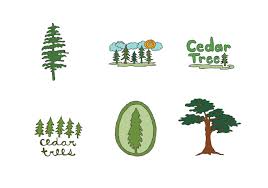 Experience lifelike cedar tree at alibaba.com, ideal for decorating indoors and outdoors. Free Cedar Tree Vector Series Download Free Vectors Clipart Graphics Vector Art