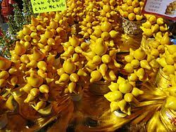 Image result for Solanum mammosum