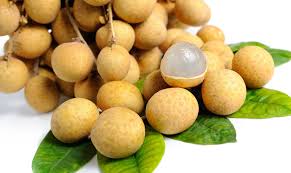 I ping pong, o tavoli da ping pong, affascinano grandi e piccini e riscuotono successo da decenni, senza per giocare a ping pong, oltre ad un regolamento ufficiale, serve però anche l'attrezzatura. Longan Viethope Fruit