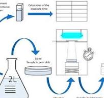 Calibration curve for PVA detection using Mowiol® 28-99 ...