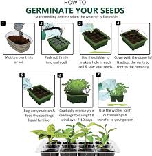 However, the trays coupled with the grow lights don't match in length. Stock Your Home Plant Seed Starter Tray 12 Cells 10 Pack Walmart Com Walmart Com