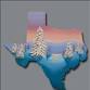 Winter In Texas event image