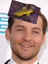 Ah, well...You've Heard of Elf