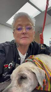 Maybe you would like to learn more about one of these? Animal Care Clinic Of Fox Valley Home Facebook