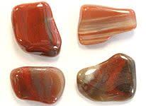 Arizona Petrified Wood Polished Stone Rock Tumbler Diy Rocks And Gems