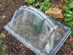 Ingenious Mini Coldframe Two Plastic Window Well Covers Small Greenhouse Outdoor Greenhouse Backyard Greenhouse