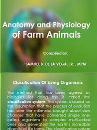 Citation formats are based on standards as of july 2010. Anatomy And Physiology Of Farm Animals Artery Heart