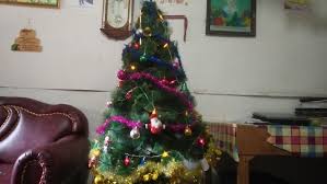 Seorang protestan adalah seorang kristen yang termasuk dalam salah satu dari banyak cabang agama kristen yang telah berkembang dari reformasi protestan yang dimulai oleh martin luther pada tahun 1517. The Romp Family 20 Inspirasi Hari Besar Agama Kristen Natal