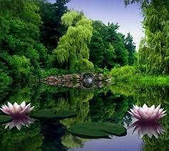 Lake With Bridge Desktop Background Nature Green Nature Water Lilies