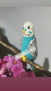 amigurumi muhabbet kuslari amigurumi kusu