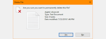 Insert the installation cd for the program you deleted earlier or go to the website of the manufacturer and. 5 Ways To Delete Files Temporarily Or Permanently In Windows 10 Digital Citizen