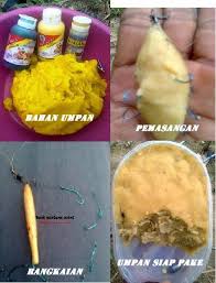 Mau mancing ikan belanak babon ? Trik Unik Cara Mancing Ikan Belanak Dengan Perangkap Botol Ala Ukawa Steemit