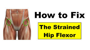 Can tight or painful hip flexor or hamstring muscles affect each other? Fixing Hip Flexor Pain Squat University