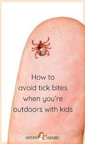 About 30 to 45 days after the tick bites you, you may notice rashes or a lump. Pin On Genius Life Hacks