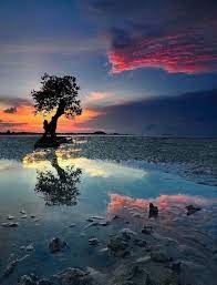 Luckily, the advances in high resolution photograph over the last 15 years have given birth to a whole new generation of nature photography books that can turn any coffee table into an instant wilderness retreat. Blues Hunter On Twitter Nature Photography Beautiful Nature Types Of Photography